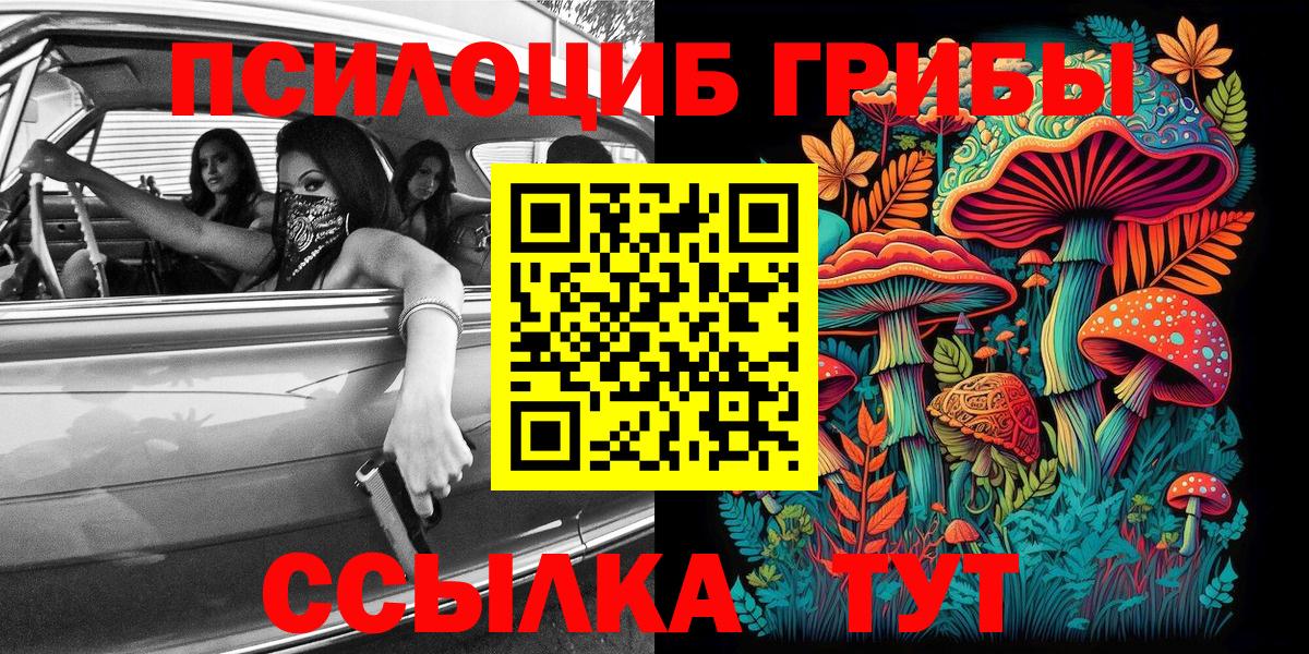 Галлюциногенные грибы MAGIC MUSHROOMS  Вход с VPN  Лесосибирск 