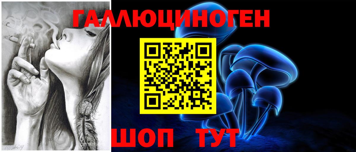 APVP Лесосибирск